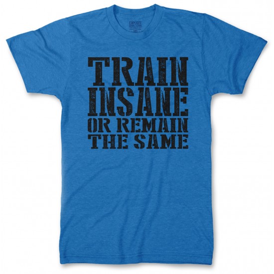 Train Insane or Remain the Same Men's Tri-Blend T Shirt 