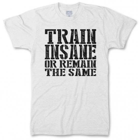 Train Insane or Remain the Same Men's Tri-Blend T Shirt 