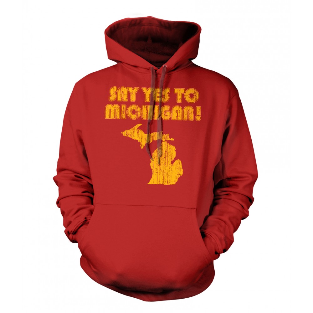 youth michigan hoodie
